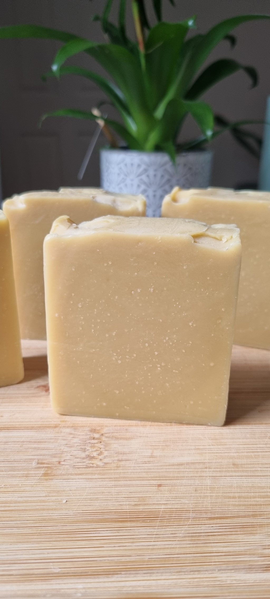 Manuka Honey Milky Turmeric Soap